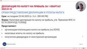 270 декларация: что указывать в БергХофф