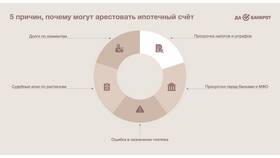 Аресты и долги: как узнать в БергХофф