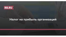 Чему равен налог на прибыль в БергХофф