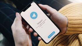 Что дает платная подписка в Telegram в БергХофф