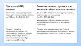 Что мы получаем от налогов в БергХофф