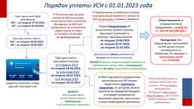 Единый налоговый платеж УСН: что это в БергХофф