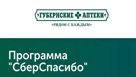 Как начисляются бонусы СберСпасибо в БергХофф