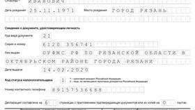 Как подать налоговую декларацию ООО в БергХофф