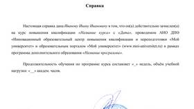 Как получить справку об обучении в школе в БергХофф
