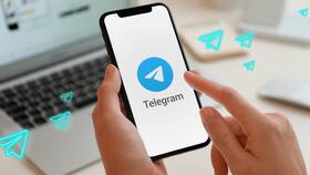 Как привязать канал в Telegram в БергХофф