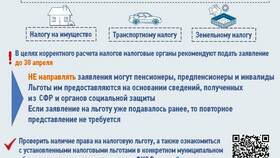Как работать с сервисом Налог.ру в БергХофф