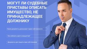 Как судебные приставы доказывают принадлежность имущества должнику в БергХофф