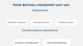 Как увеличиваются акции: факторы роста стоимости в БергХофф
