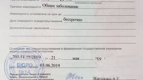 Как внести справку об инвалидности в Госуслуги в БергХофф