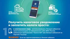 На основании чего действует ИП в 2024 году в БергХофф