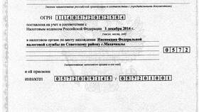 Общество с ограниченной ответственностью как юридическое лицо в БергХофф
