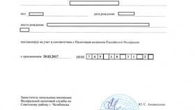 Паспорт, ИНН, СНИЛС: что это в БергХофф