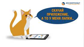 Почему не работает ЕЛК ЖКХ в БергХофф