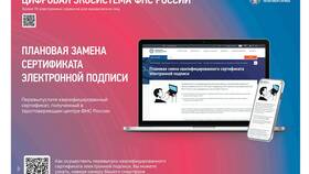 Почему не работают налоговые сервисы на Госуслугах в БергХофф
