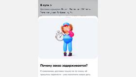 Почему Ozon не может доставить заказ в БергХофф