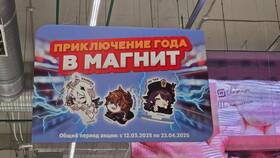 Подписка Магнит Плюс Премиум: возможности и преимущества в БергХофф