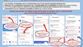 Пошаговая инструкция по регистрации на Госуслугах в БергХофф